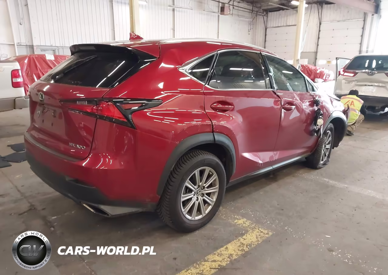 2020 Lexus Nx 300 VIN:JTJAARBZ0L5009092 - 4