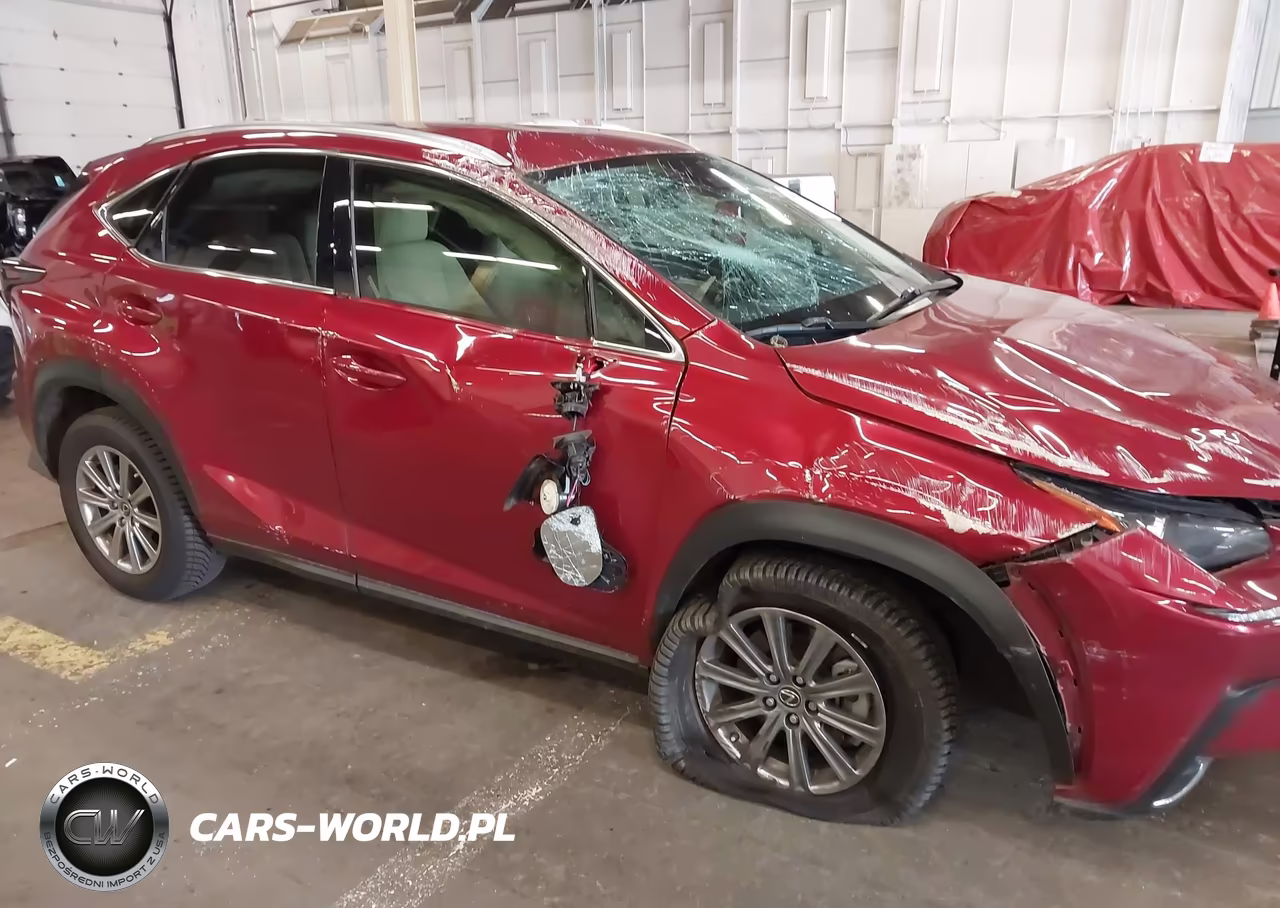 2020 Lexus Nx 300 VIN:JTJAARBZ0L5009092 - 6