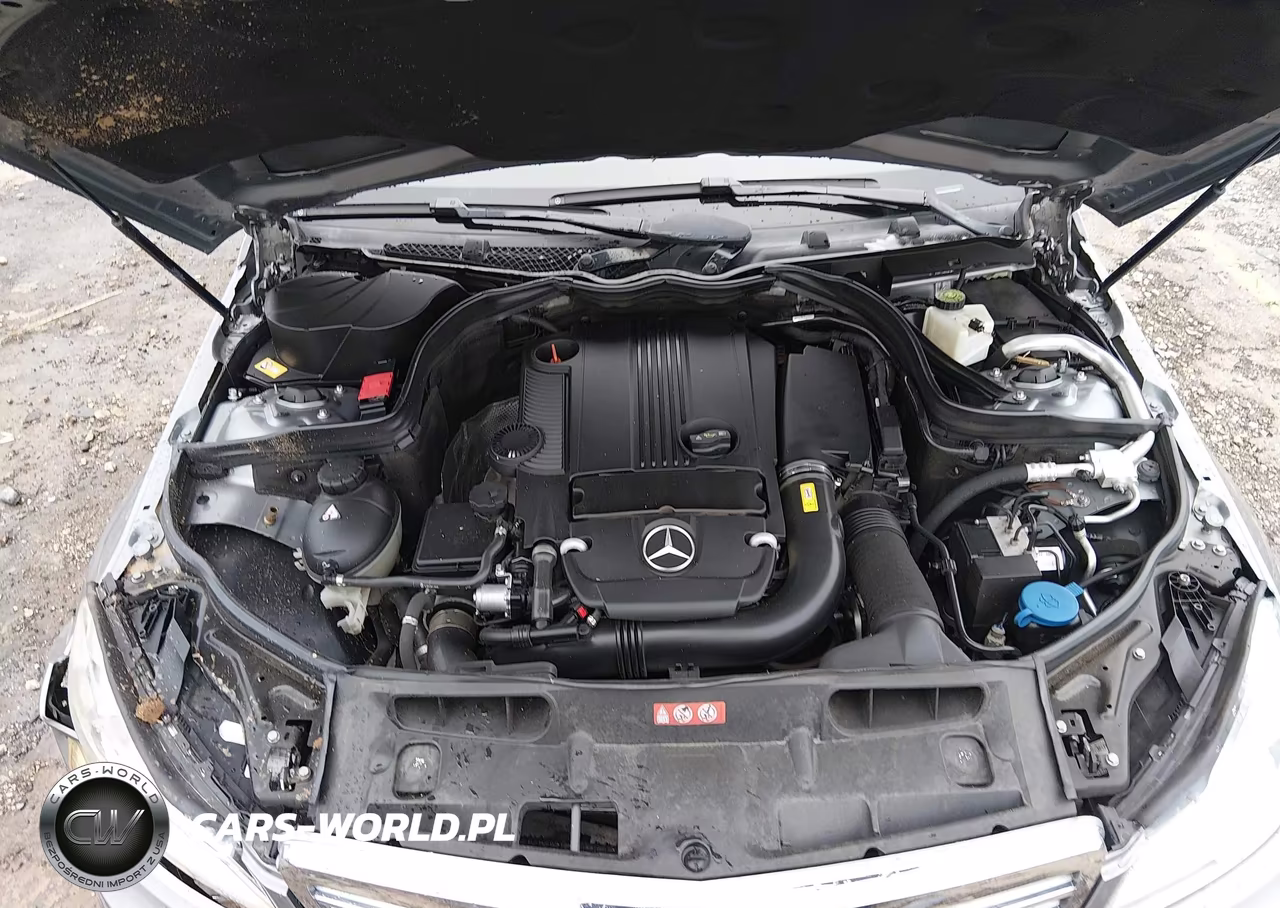 2014 Mercedes-Benz C 250 Luxury VIN:WDDGF4HB4EG256009 - 10
