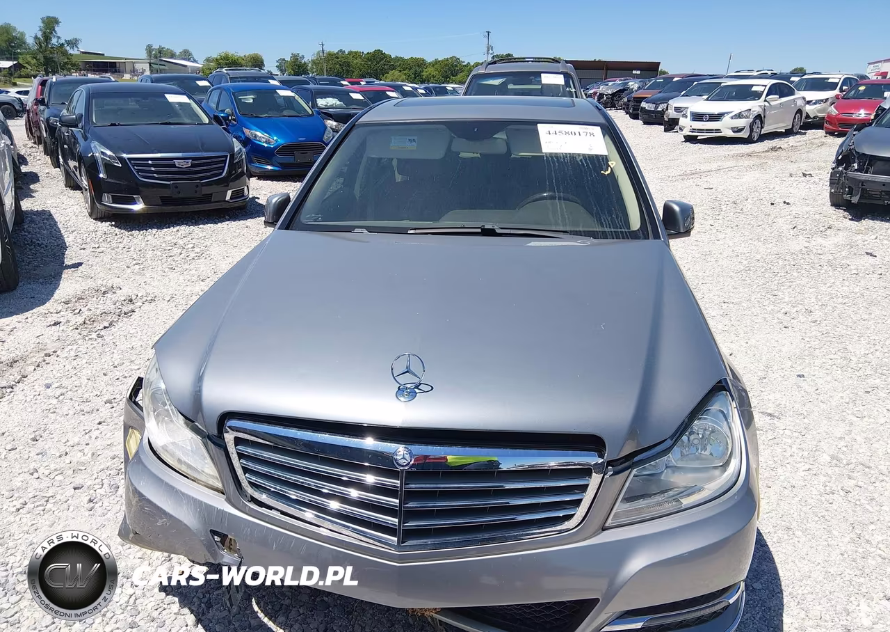 2014 Mercedes-Benz C 250 Luxury VIN:WDDGF4HB4EG256009 - 12