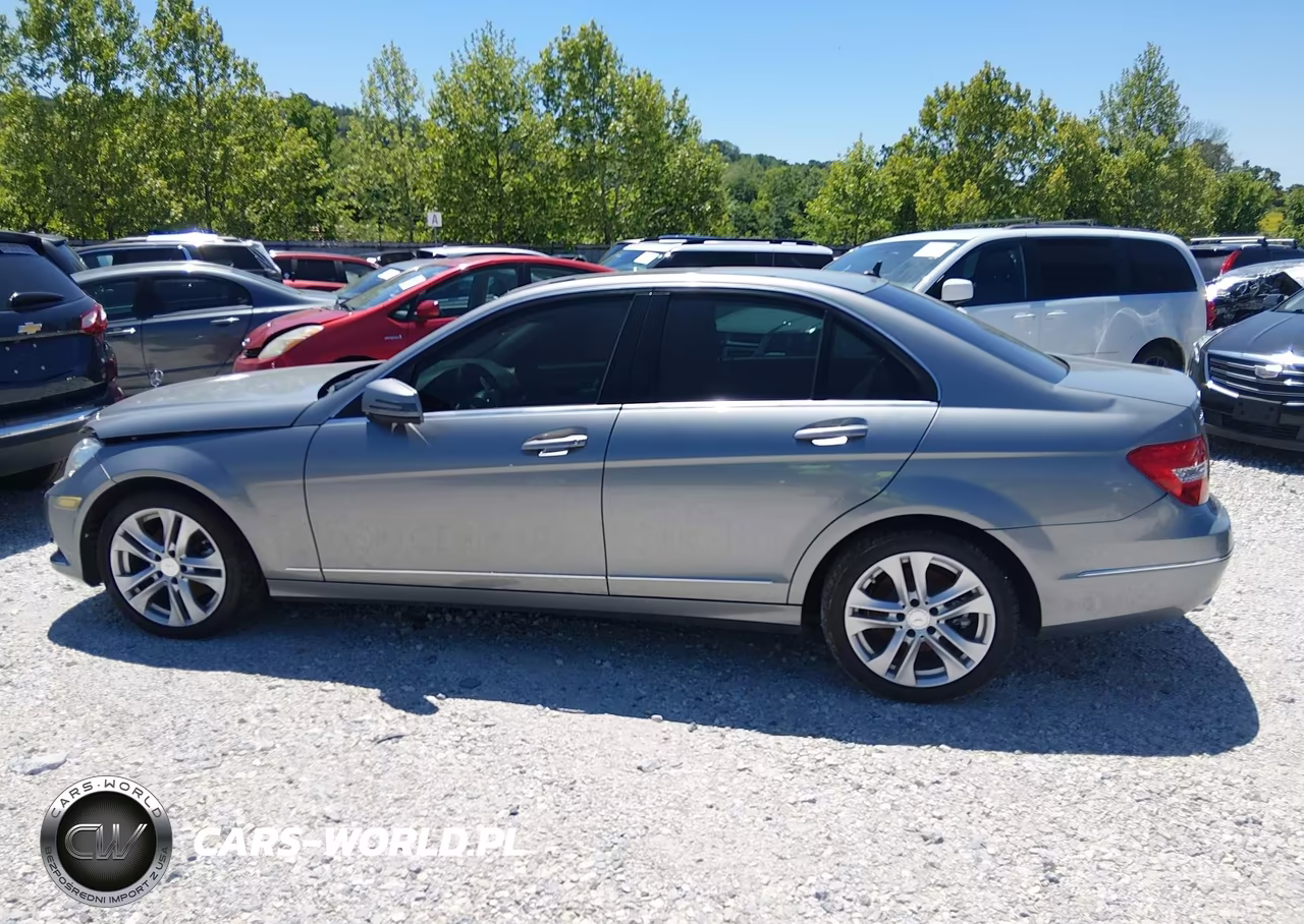 2014 Mercedes-Benz C 250 Luxury VIN:WDDGF4HB4EG256009 - 14