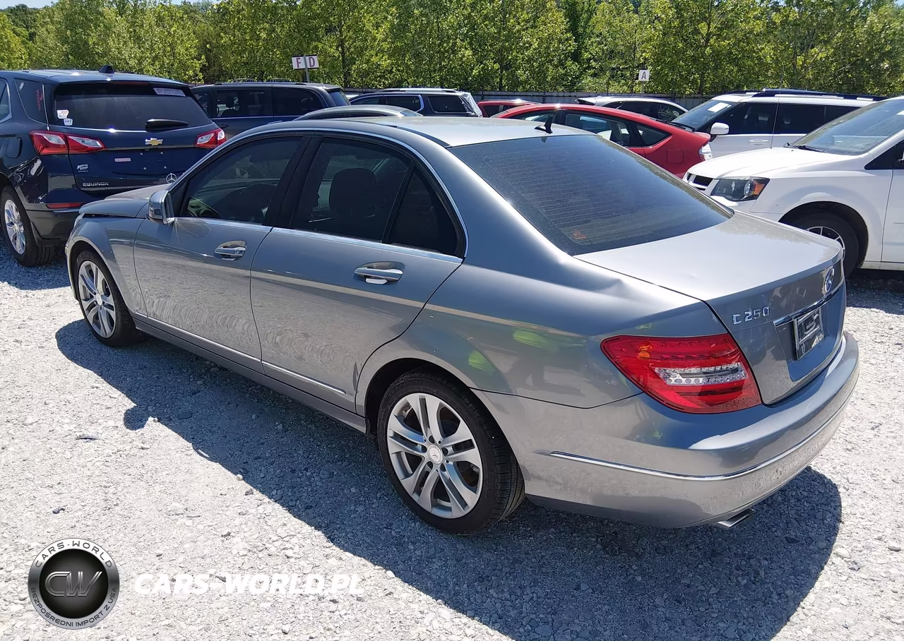 2014 Mercedes-Benz C 250 Luxury VIN:WDDGF4HB4EG256009 - 3