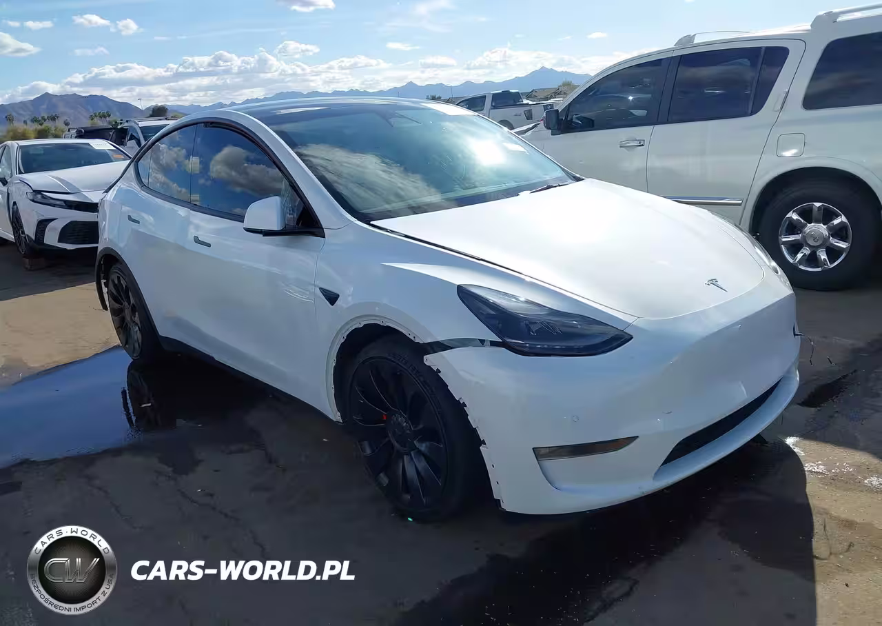 2022 Tesla Model Y Performance Dual Motor All-Wheel Drive