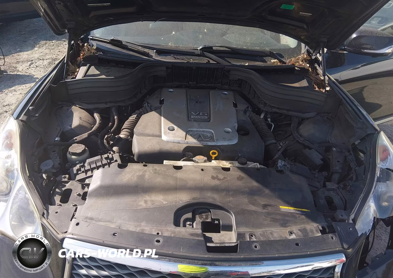 2017 Infiniti Qx50 VIN:JN1BJ0RR2HM409857 - 10