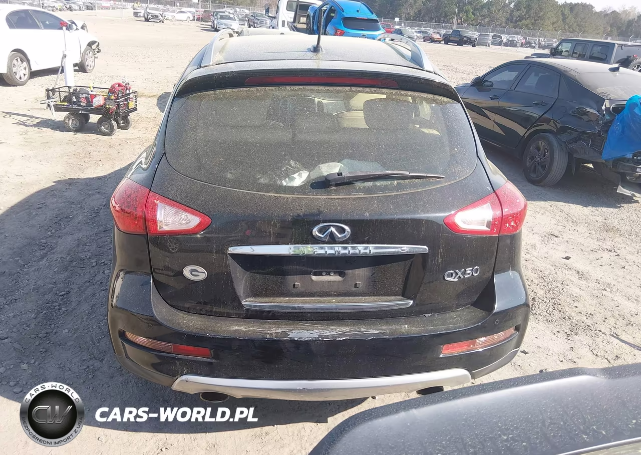 2017 Infiniti Qx50 VIN:JN1BJ0RR2HM409857 - 17