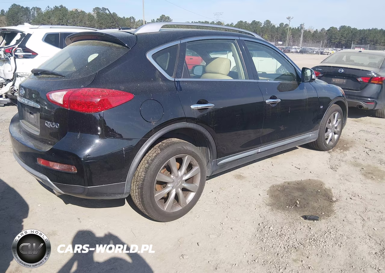 2017 Infiniti Qx50 VIN:JN1BJ0RR2HM409857 - 4