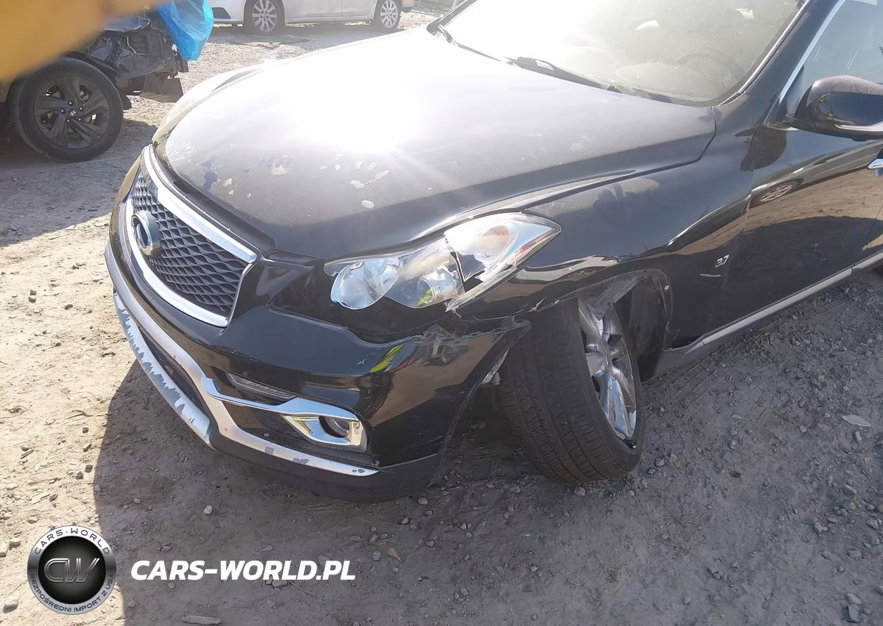 2017 Infiniti Qx50 VIN:JN1BJ0RR2HM409857 - 6