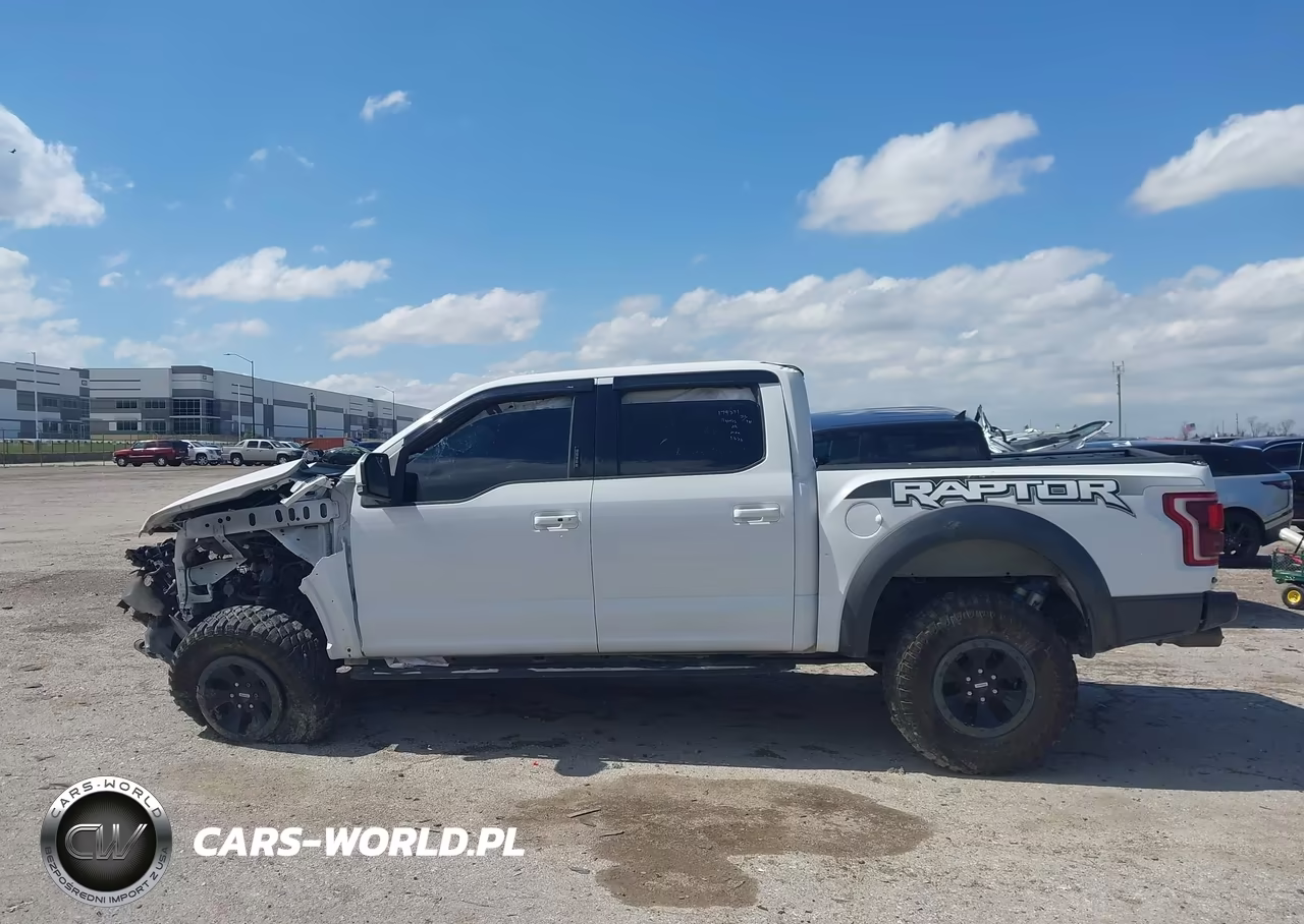 2018 Ford F-150 Raptor VIN:1FTFW1RG6JFA56750 - 12