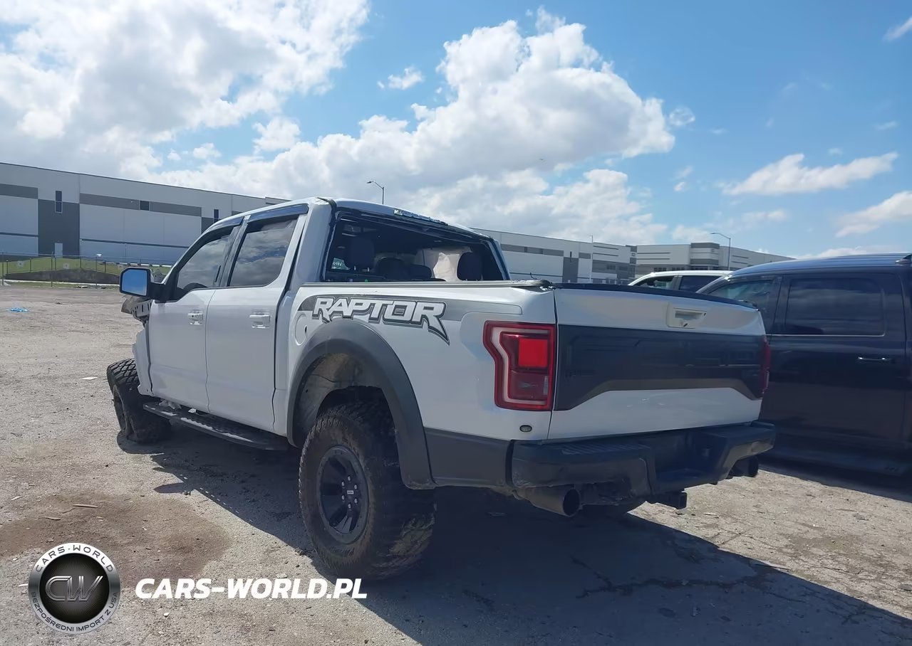2018 Ford F-150 Raptor VIN:1FTFW1RG6JFA56750 - 3