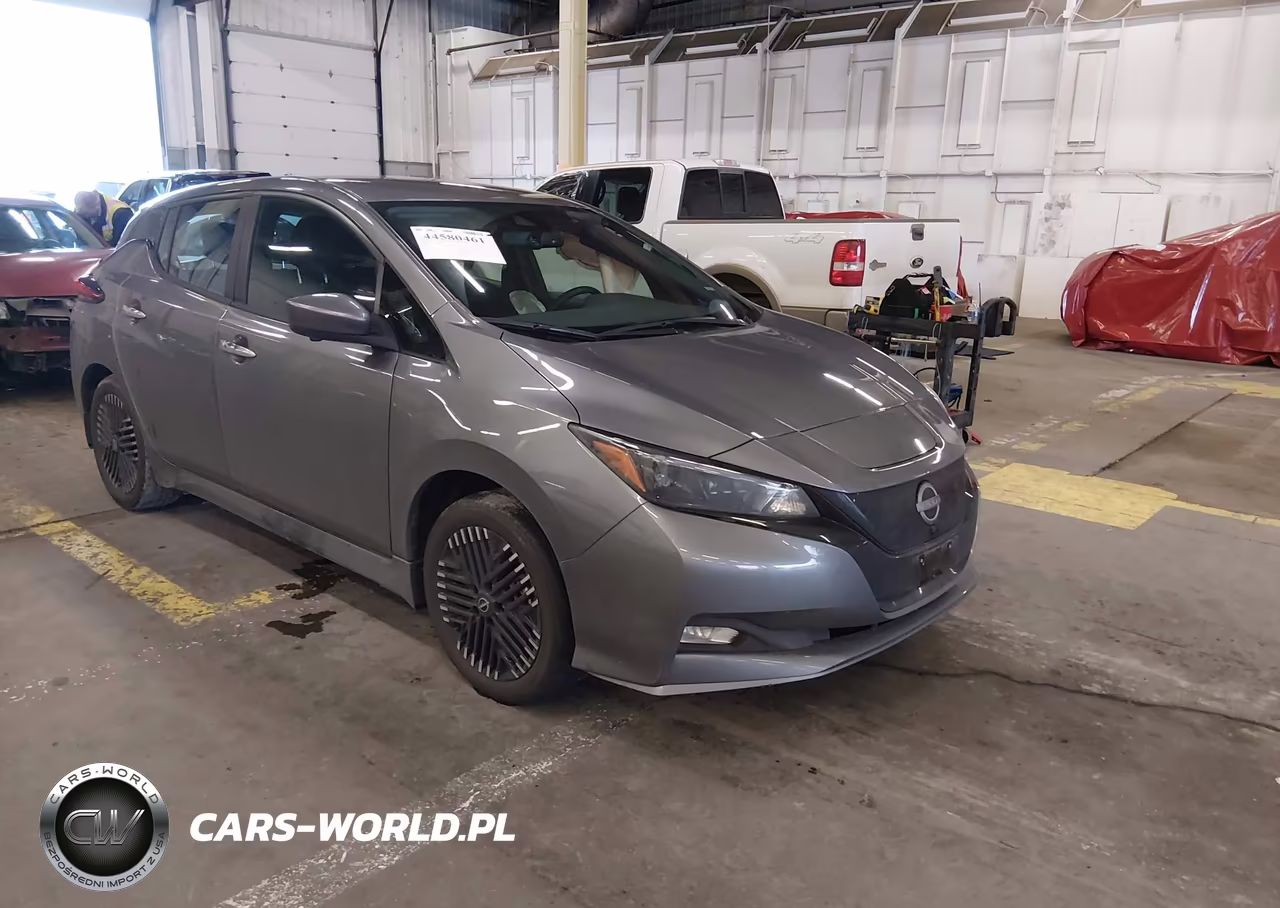 2025 Nissan Leaf Sv Plus