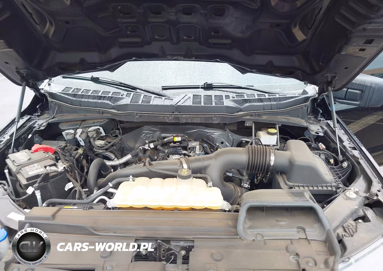 2023 Ford F-150 Xl VIN:1FTEW1CP4PKE29515 - 10