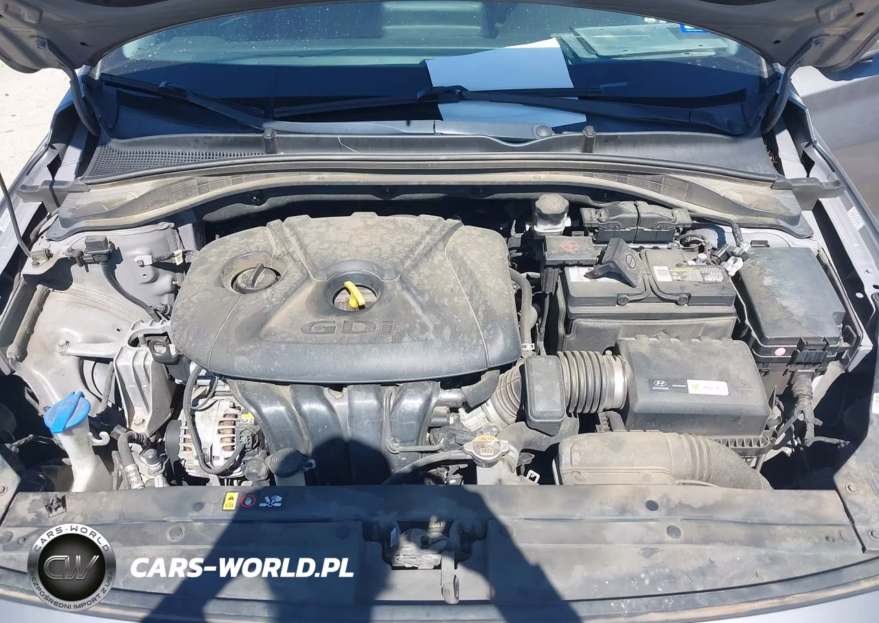 2020 Hyundai Elantra Gt VIN:KMHH35LE1LU141649 - 10