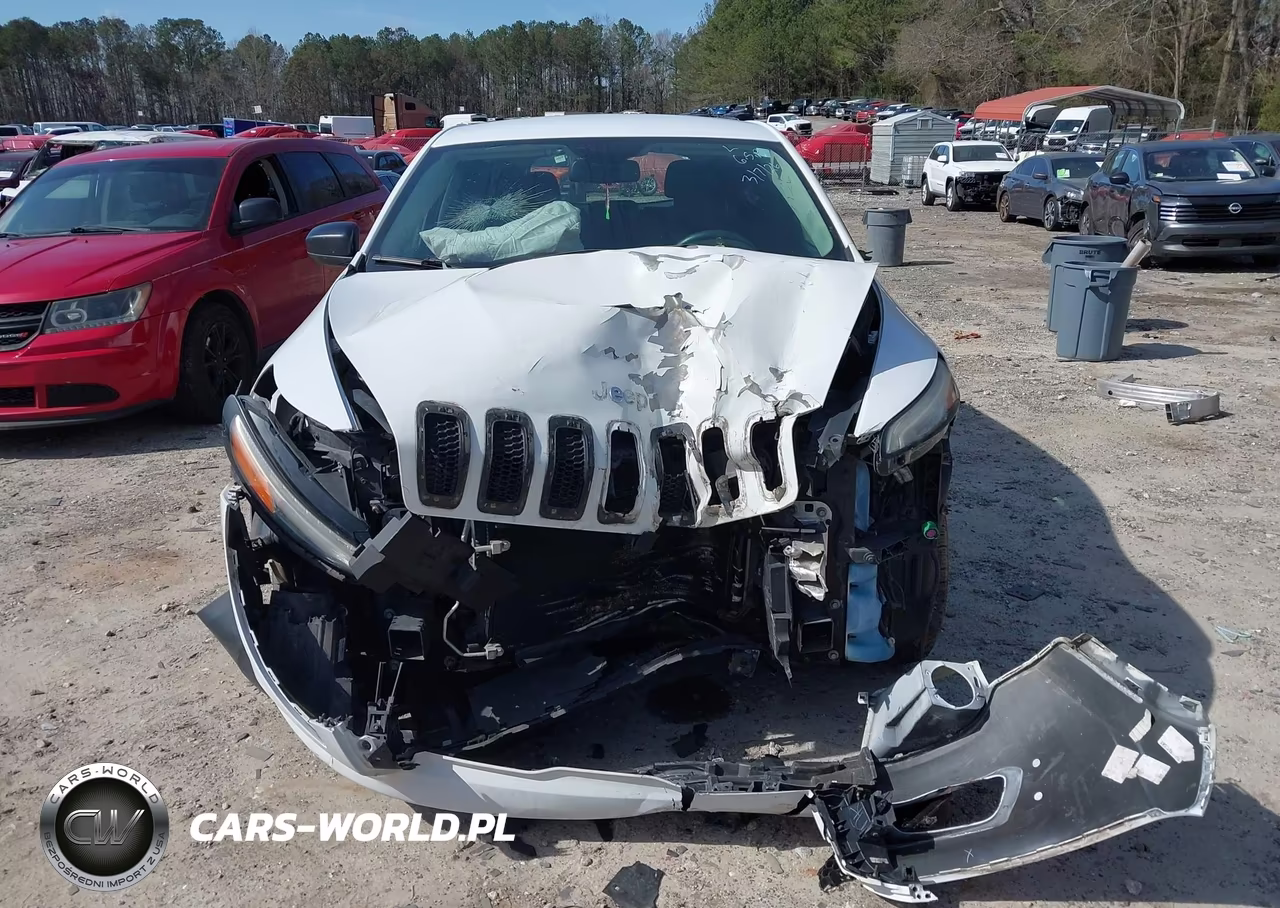 2014 Jeep Cherokee Sport VIN:1C4PJMAB5EW191261 - 12