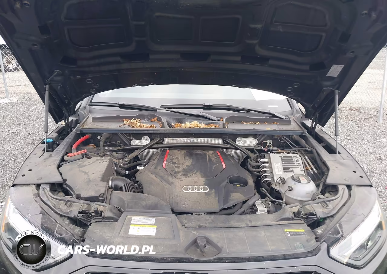 2023 Audi Sq5 Premium Plus Tfsi Quattro Tiptronic VIN:WA1B4AFY8P2056180 - 10