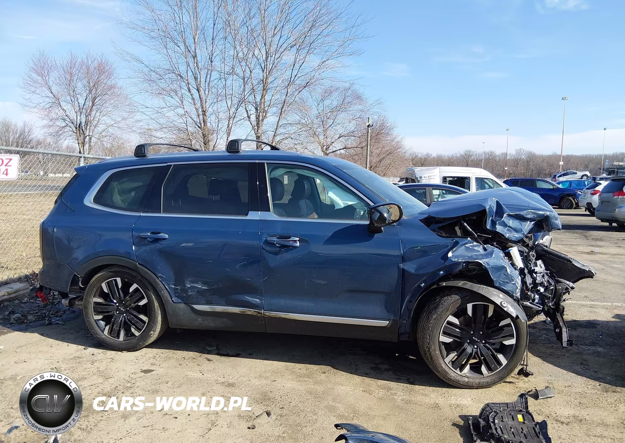 2024 Kia Telluride Sx Prestige VIN:5XYP5DGC4RG436428 - 13