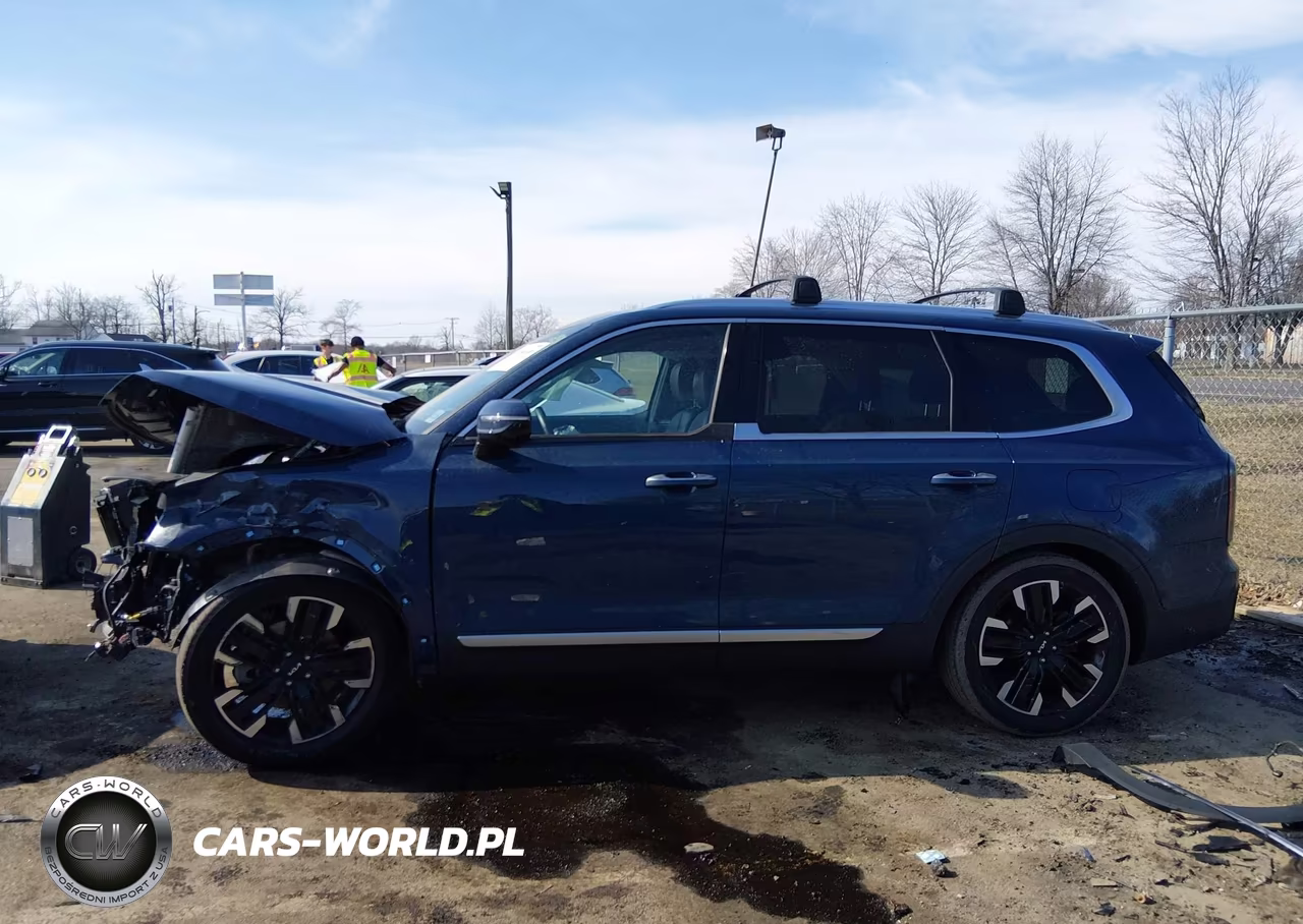 2024 Kia Telluride Sx Prestige VIN:5XYP5DGC4RG436428 - 14