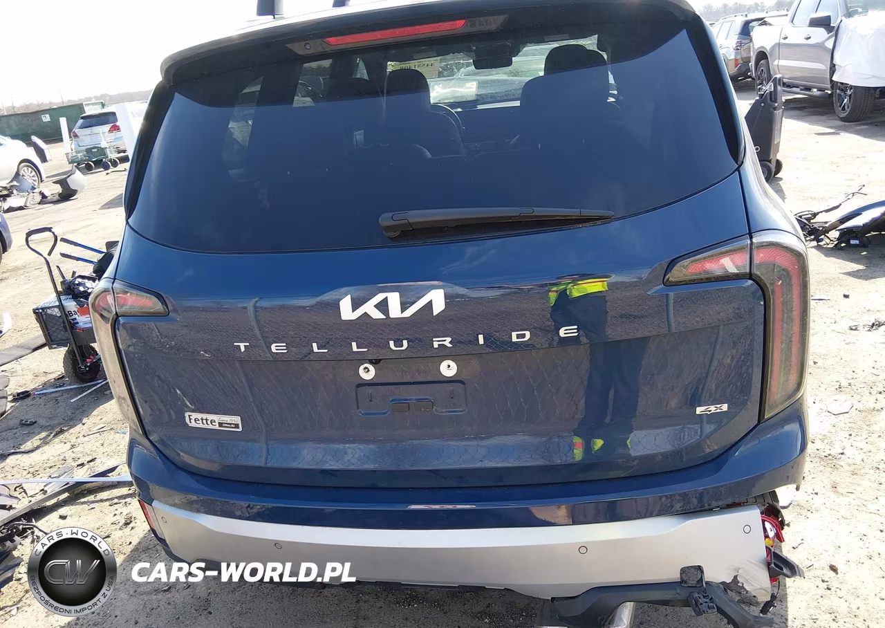 2024 Kia Telluride Sx Prestige VIN:5XYP5DGC4RG436428 - 16