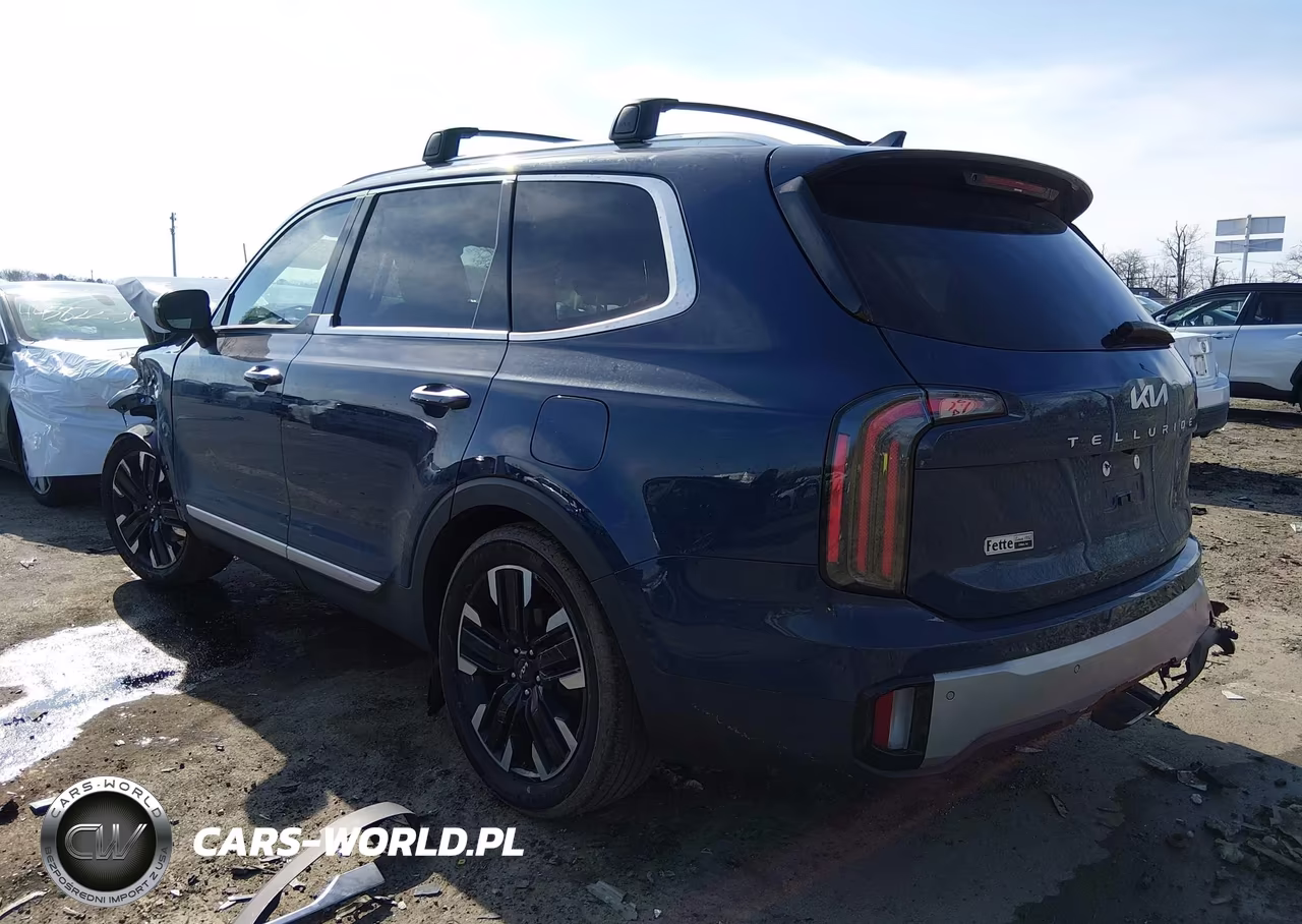 2024 Kia Telluride Sx Prestige VIN:5XYP5DGC4RG436428 - 3