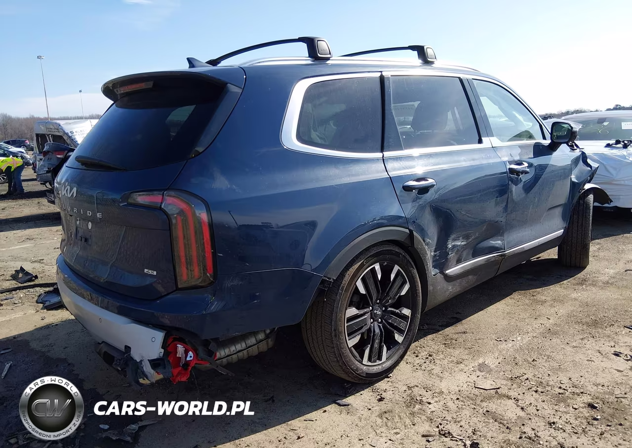 2024 Kia Telluride Sx Prestige VIN:5XYP5DGC4RG436428 - 4