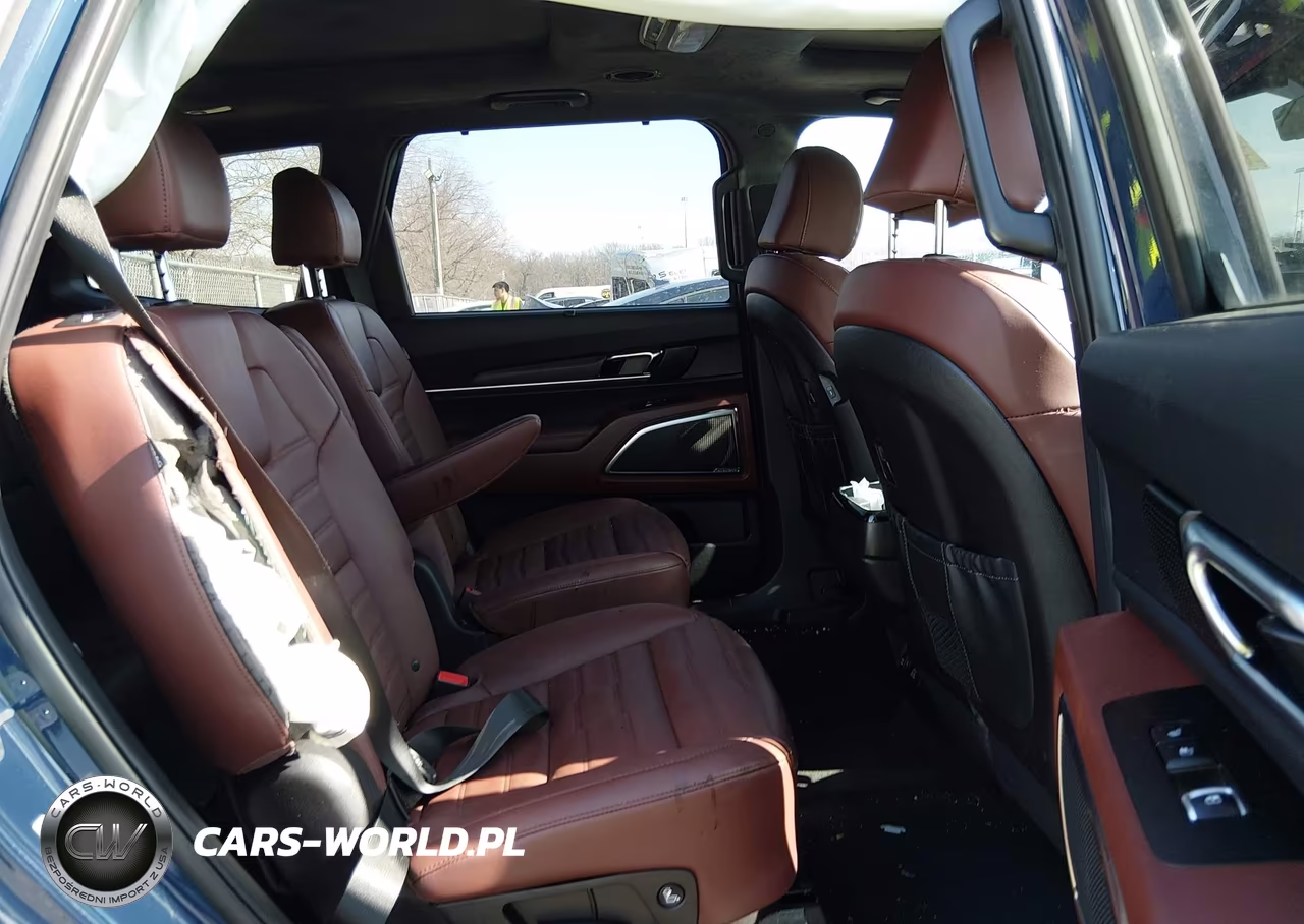 2024 Kia Telluride Sx Prestige VIN:5XYP5DGC4RG436428 - 8