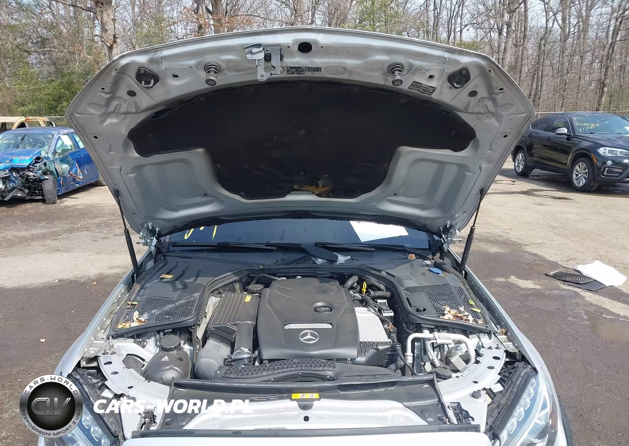 2017 Mercedes-Benz C 300 VIN:WDDWJ4JBXHF329995 - 10