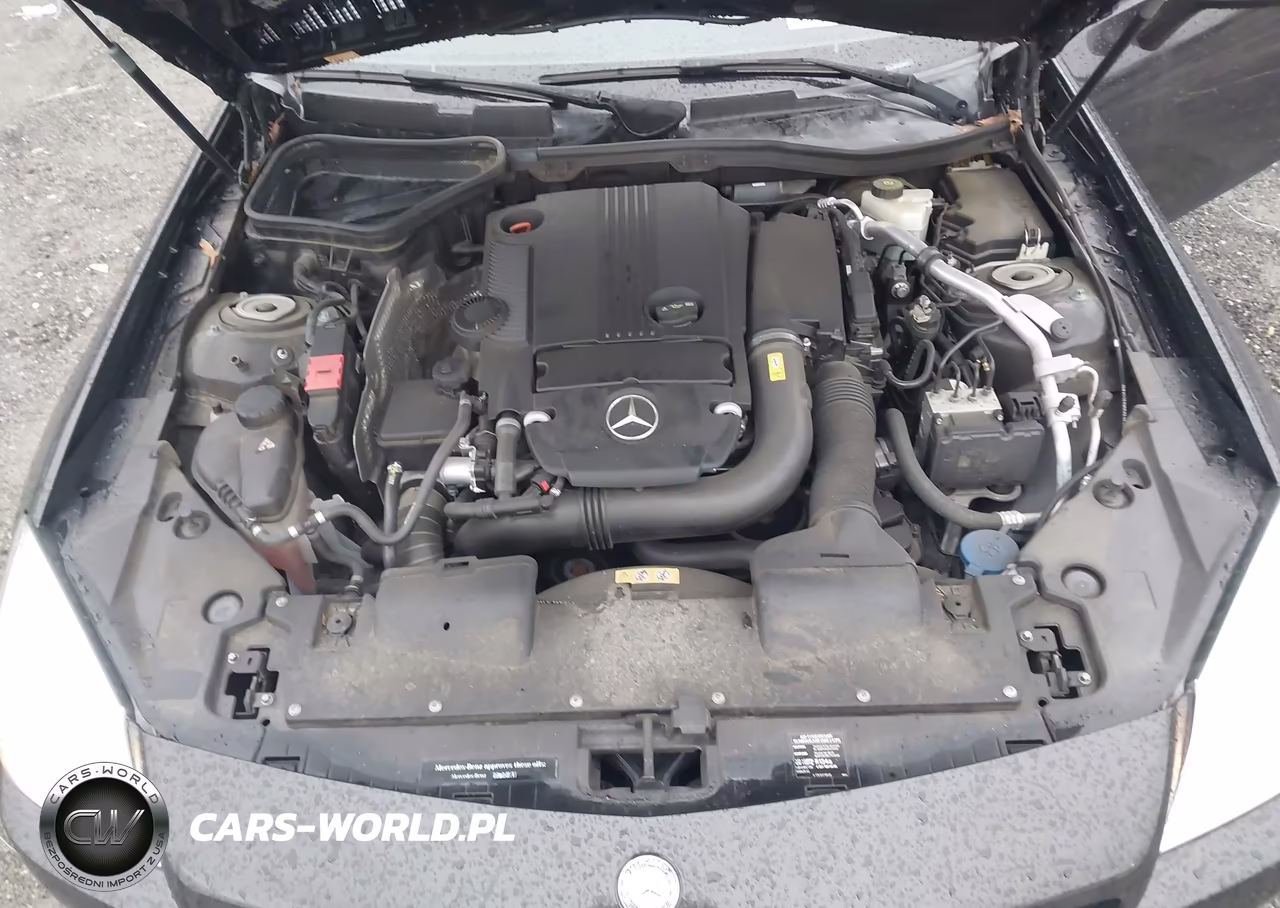 2015 Mercedes-Benz Slk 250 VIN:WDDPK4HA0FF109907 - 10
