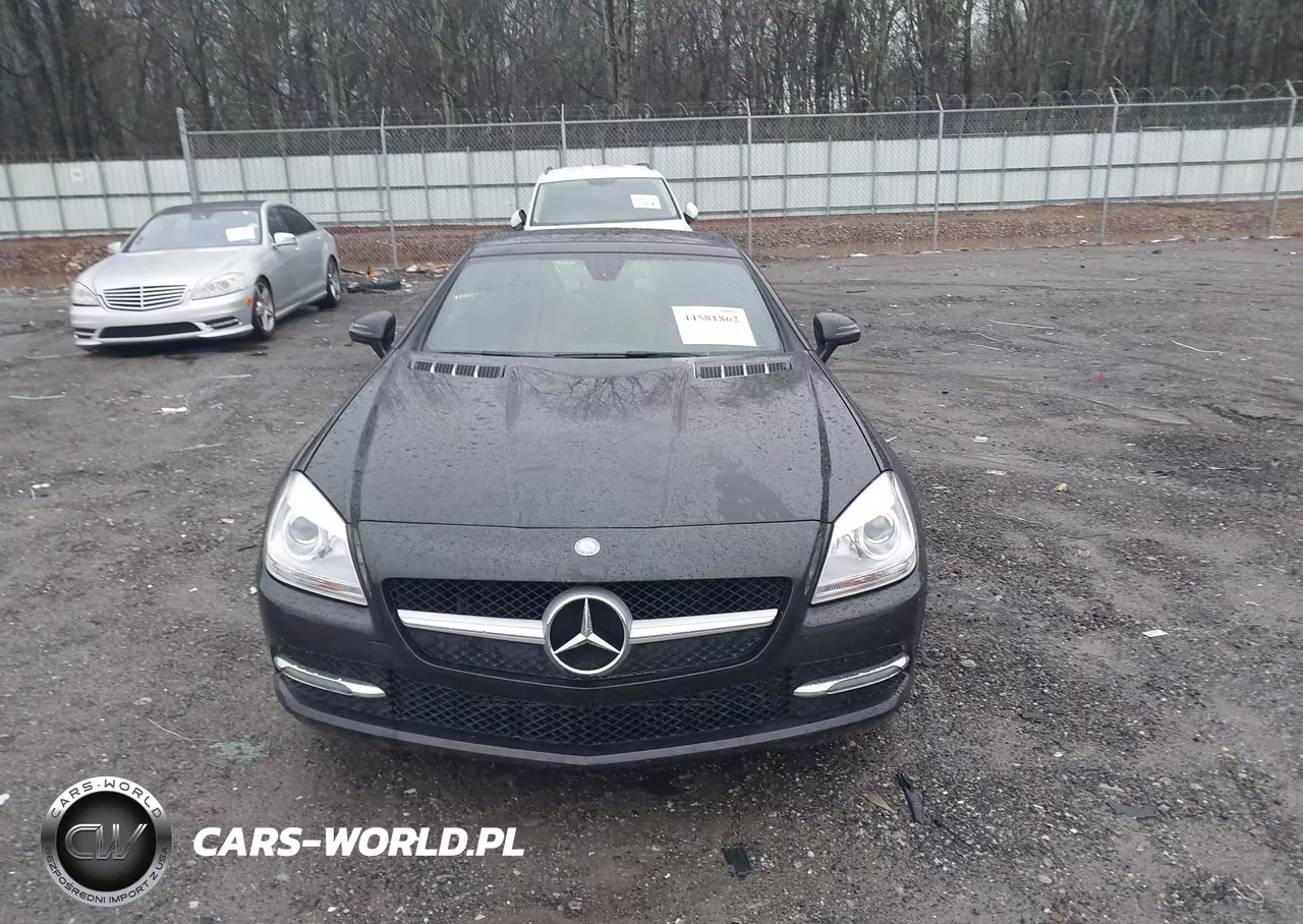2015 Mercedes-Benz Slk 250 VIN:WDDPK4HA0FF109907 - 13
