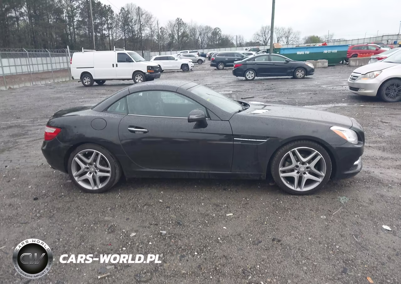 2015 Mercedes-Benz Slk 250 VIN:WDDPK4HA0FF109907 - 14