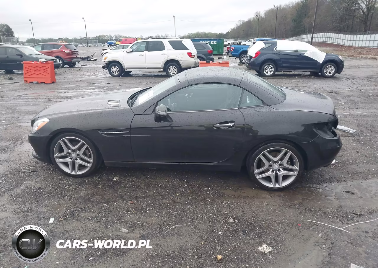 2015 Mercedes-Benz Slk 250 VIN:WDDPK4HA0FF109907 - 15