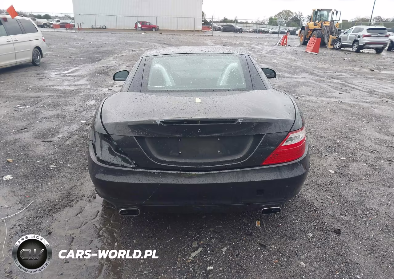 2015 Mercedes-Benz Slk 250 VIN:WDDPK4HA0FF109907 - 17