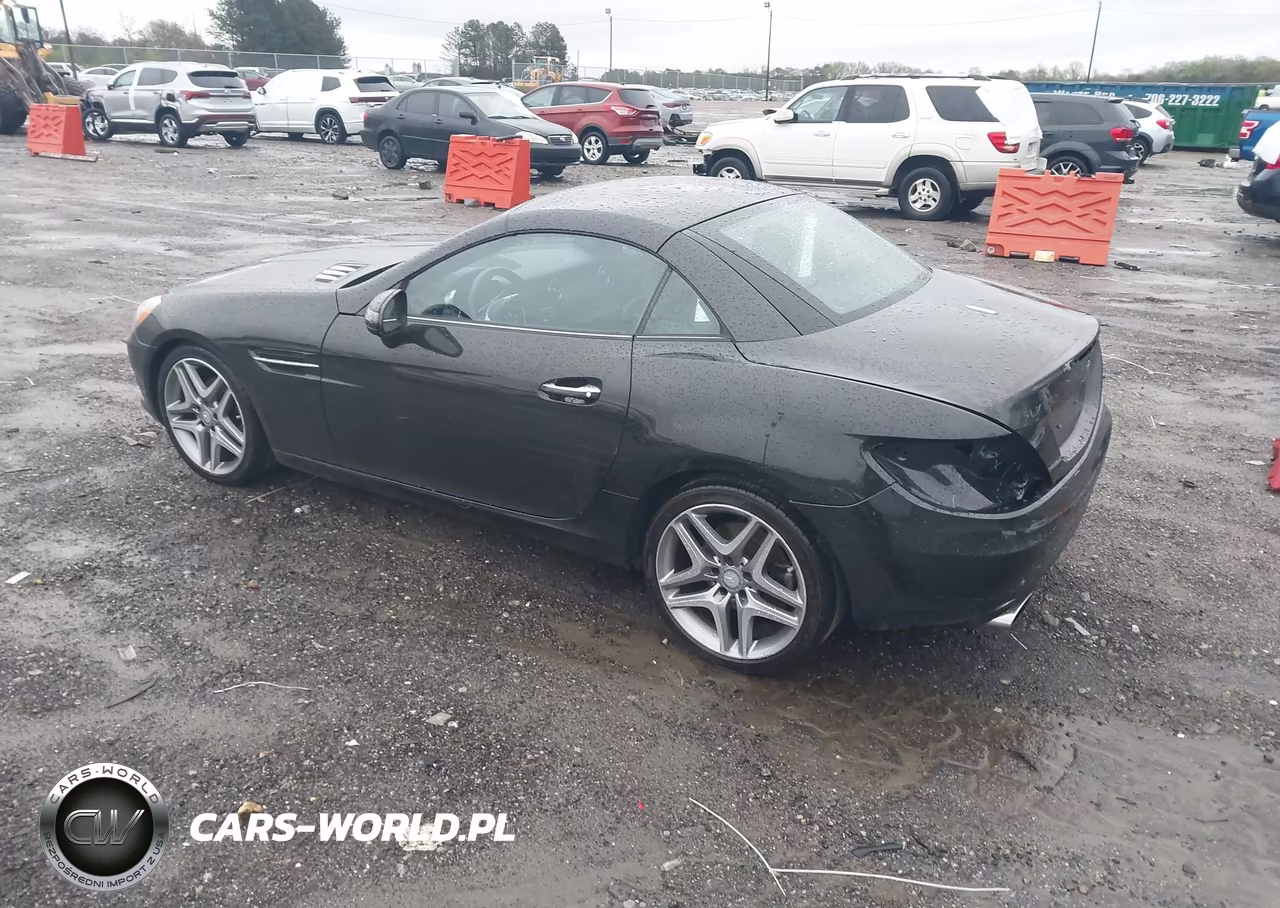 2015 Mercedes-Benz Slk 250 VIN:WDDPK4HA0FF109907 - 3