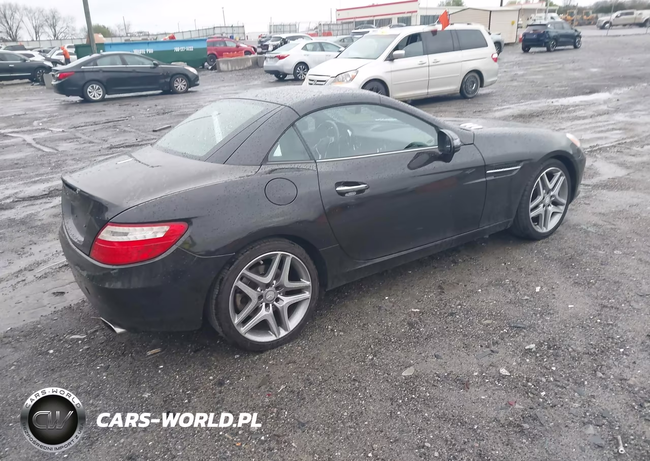2015 Mercedes-Benz Slk 250 VIN:WDDPK4HA0FF109907 - 4