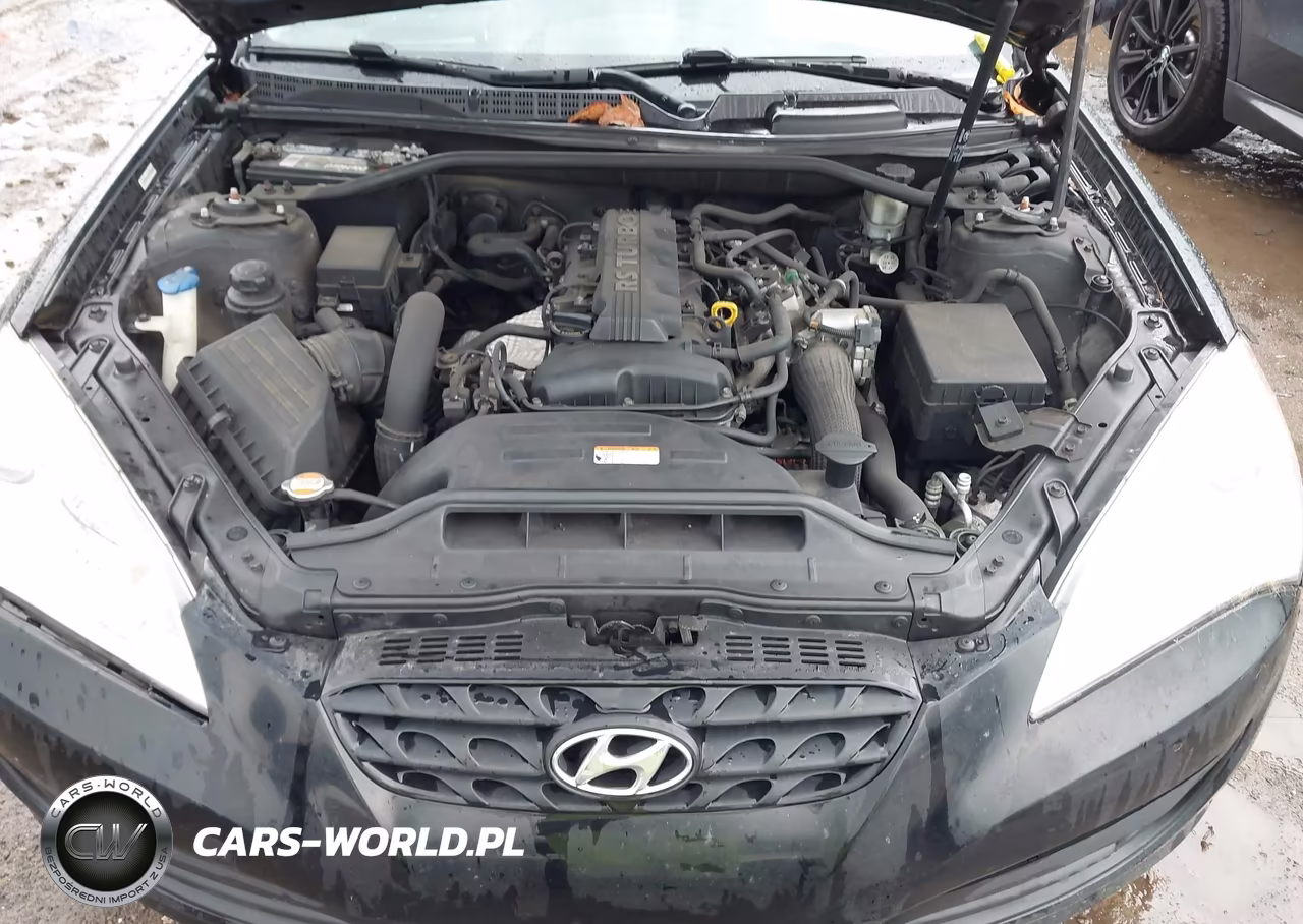 2010 Hyundai Genesis 2.0T Premium VIN:KMHHT6KD6AU041378 - 10