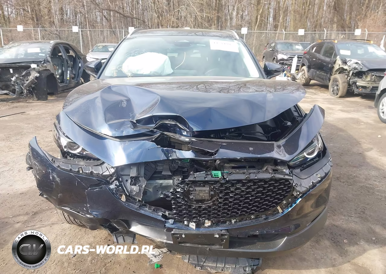 2025 Mazda Cx-30 2.5 S Preferred Package VIN:3MVDMBCM7SM780870 - 13
