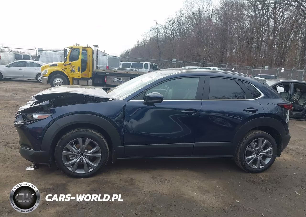 2025 Mazda Cx-30 2.5 S Preferred Package VIN:3MVDMBCM7SM780870 - 15