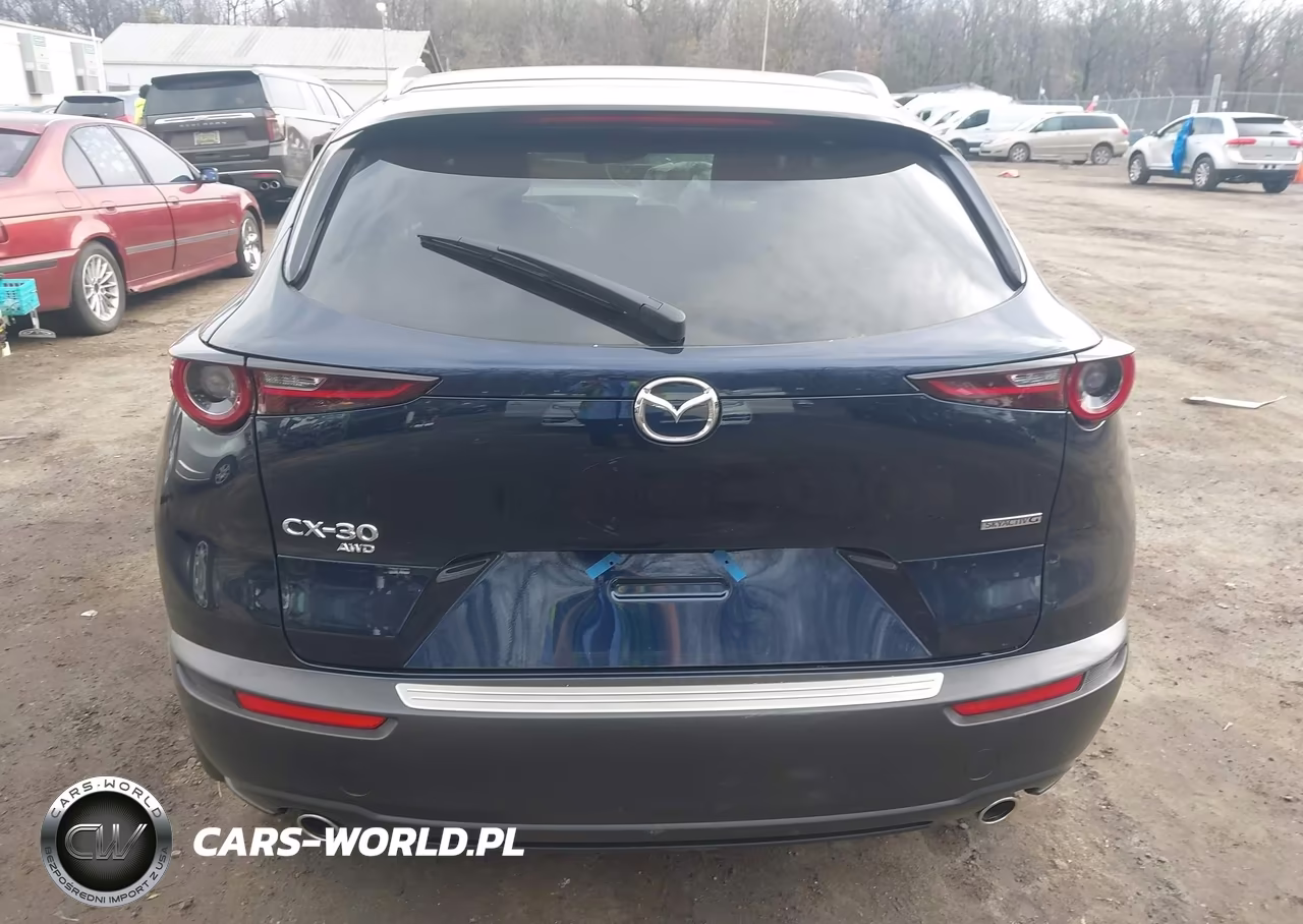 2025 Mazda Cx-30 2.5 S Preferred Package VIN:3MVDMBCM7SM780870 - 17