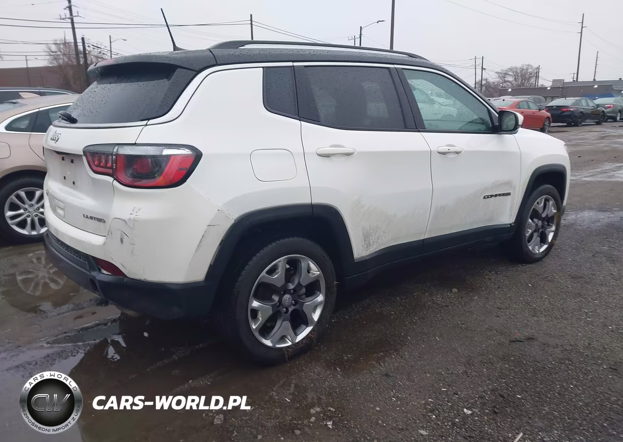 2020 Jeep Compass Limited 4X4 VIN:3C4NJDCBXLT167674 - 4