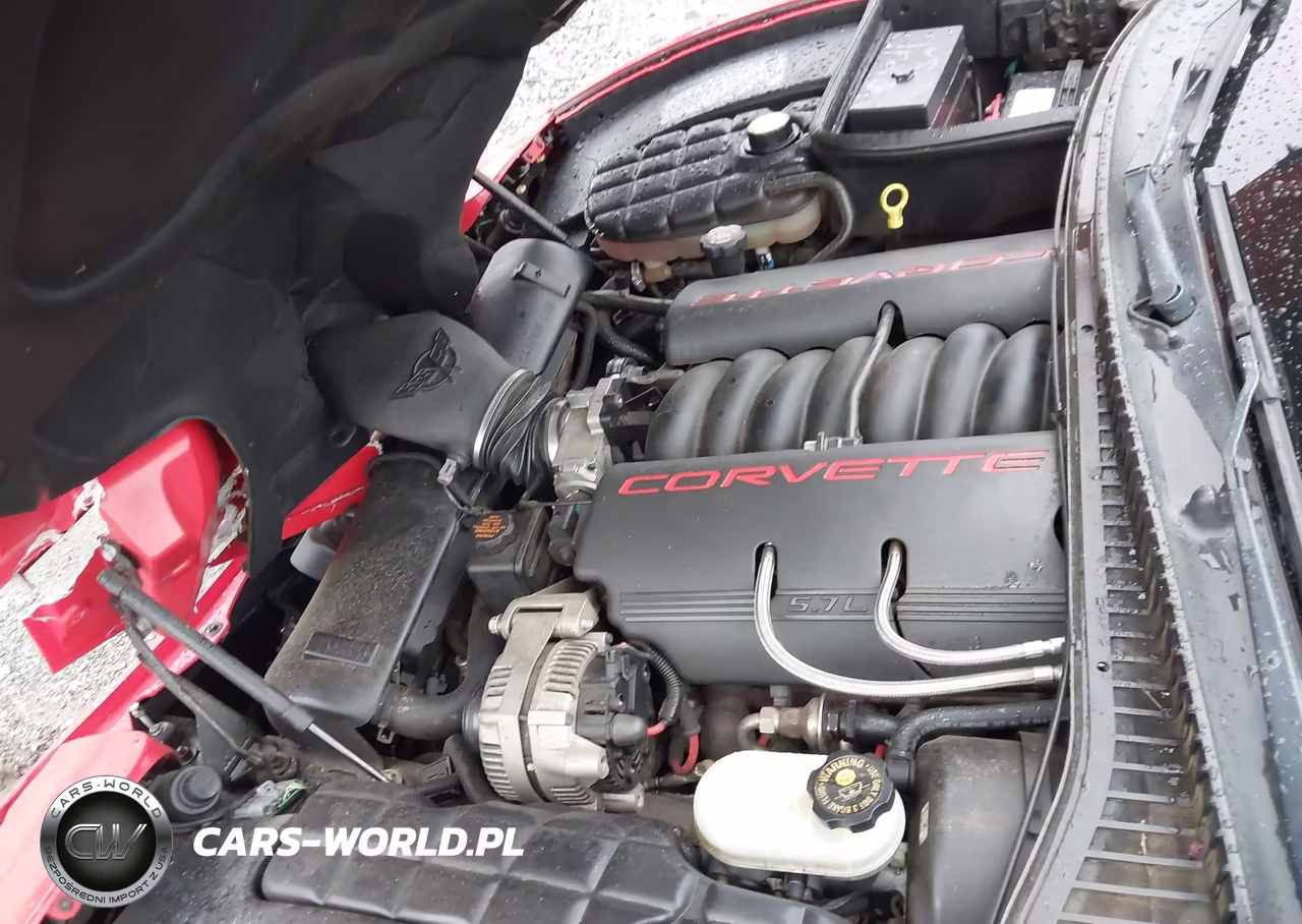 1998 Chevrolet Corvette VIN:1G1YY32G4W5122050 - 10