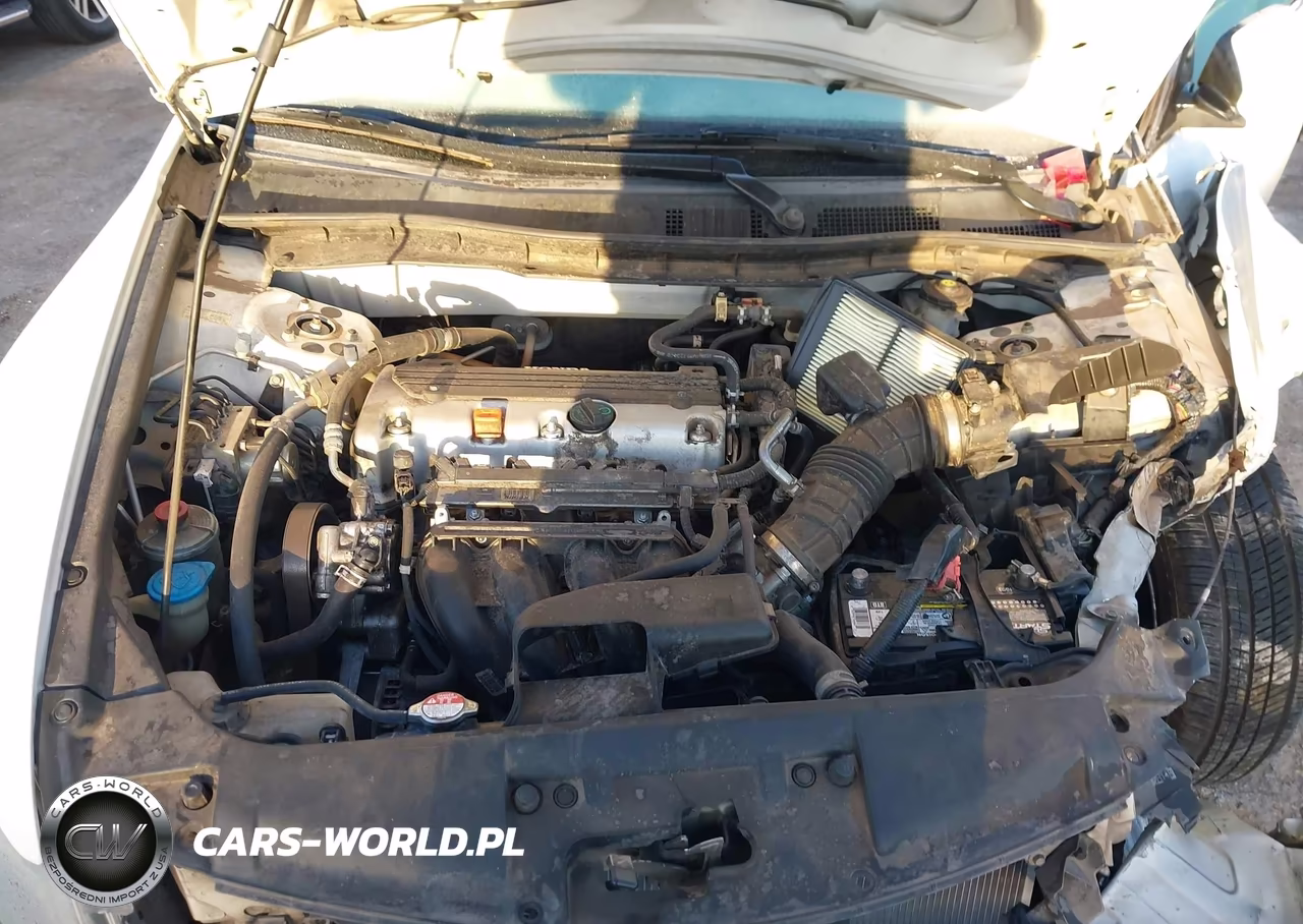 2010 Honda Accord 2.4 Lx-P VIN:1HGCP2F4XAA005038 - 10