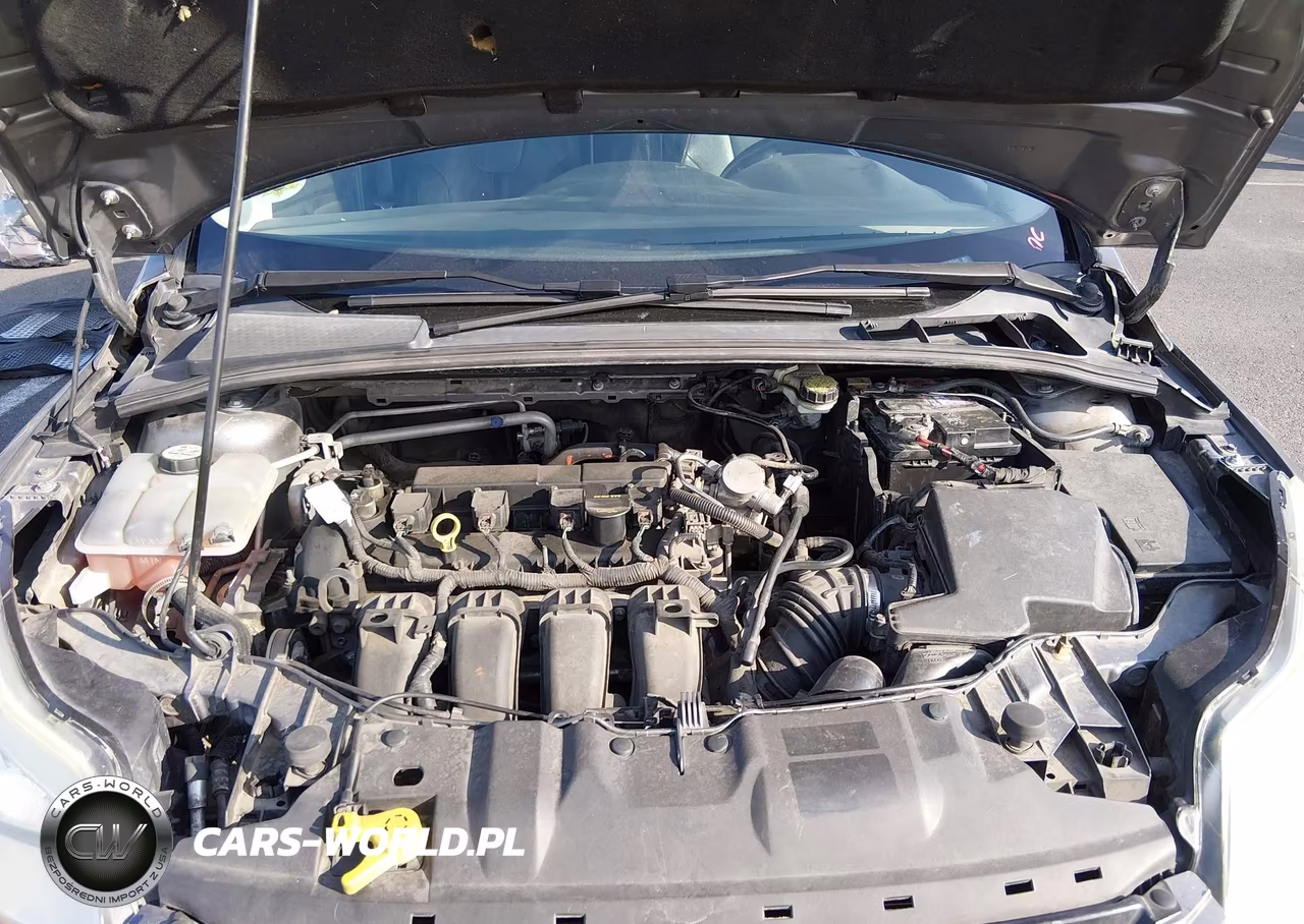 2013 Ford Focus Se VIN:1FADP3F29DL201512 - 10