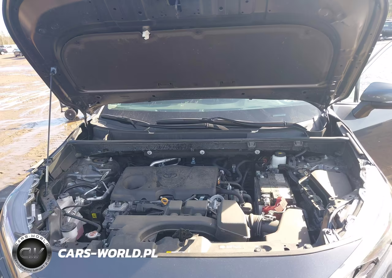2024 Toyota Rav4 Xle VIN:2T3P1RFVXRC442734 - 10