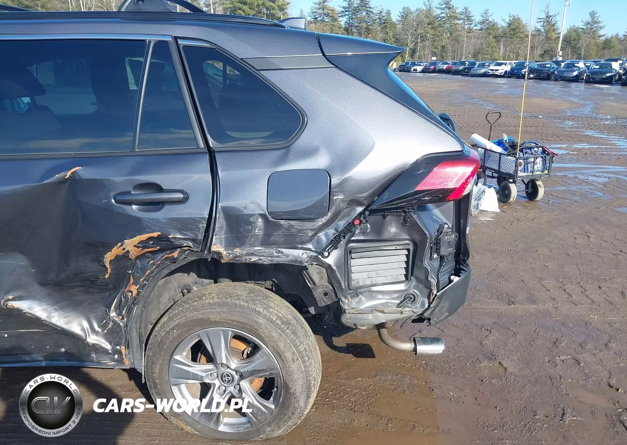 2024 Toyota Rav4 Xle VIN:2T3P1RFVXRC442734 - 6