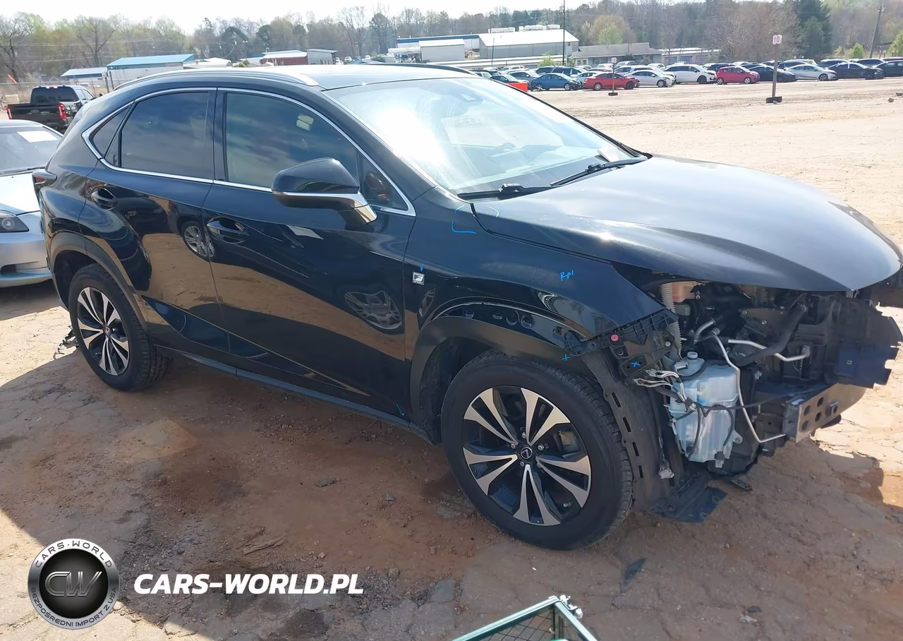 2021 Lexus Nx 300 F Sport
