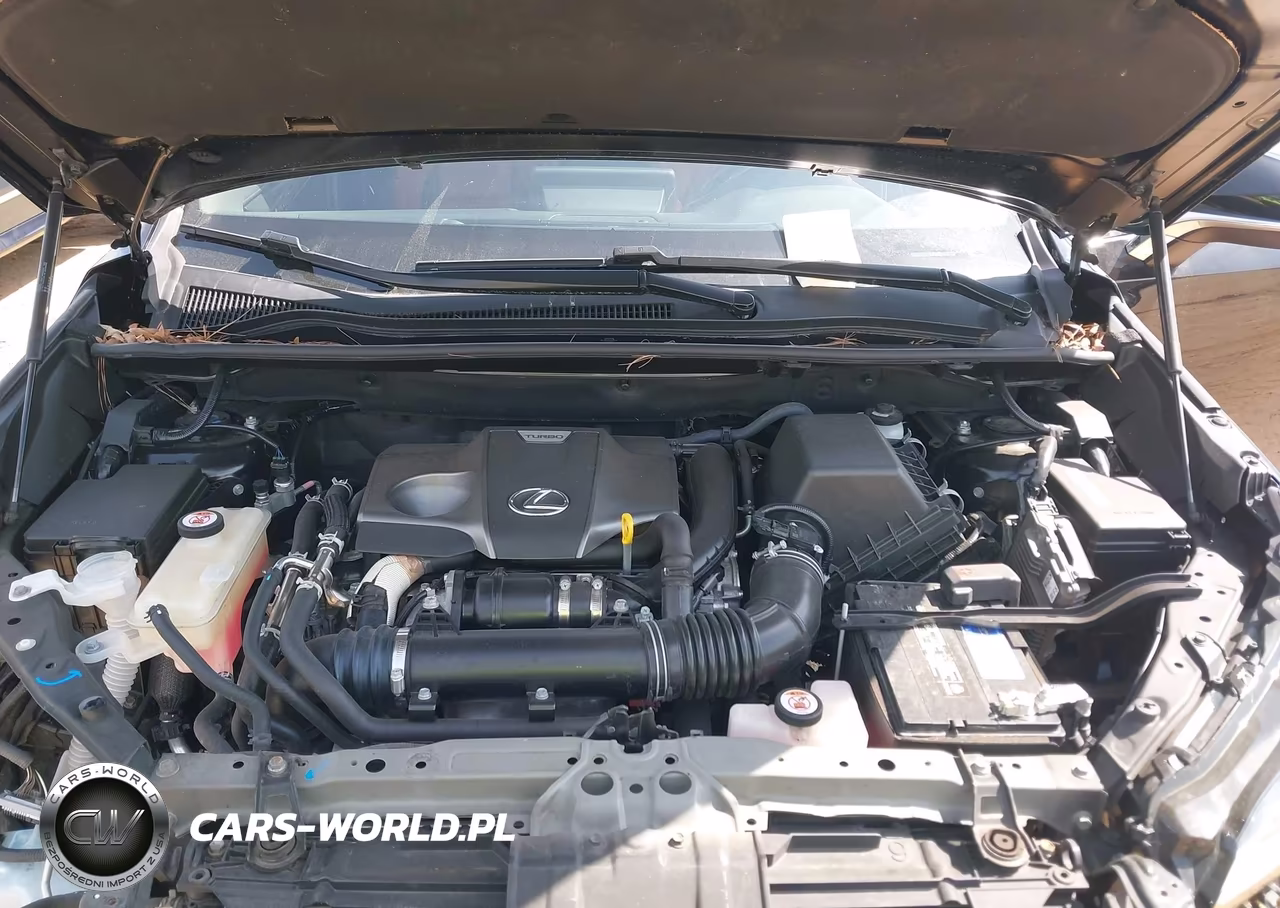 2021 Lexus Nx 300 F Sport VIN:JTJSARDZXM2248833 - 10