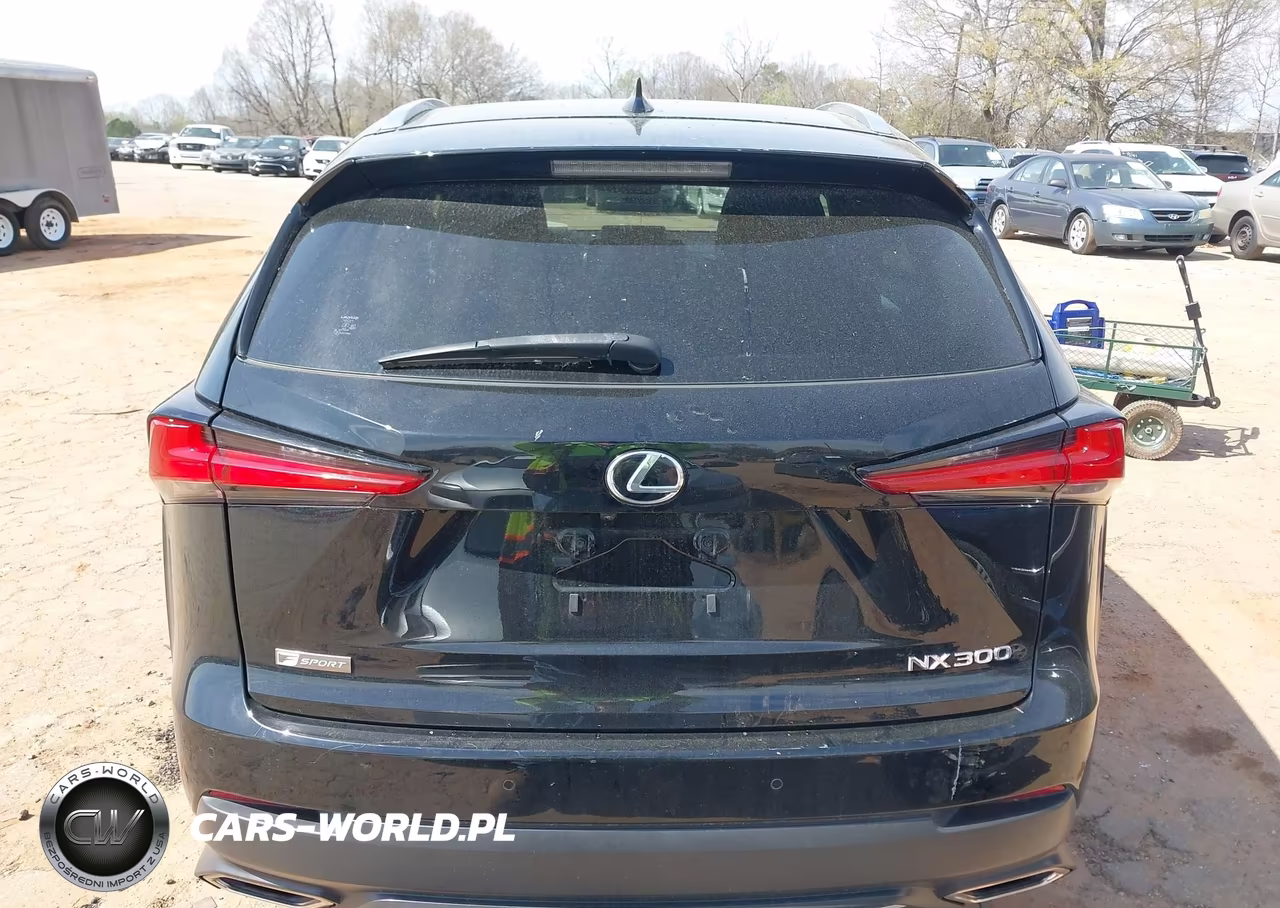 2021 Lexus Nx 300 F Sport VIN:JTJSARDZXM2248833 - 16