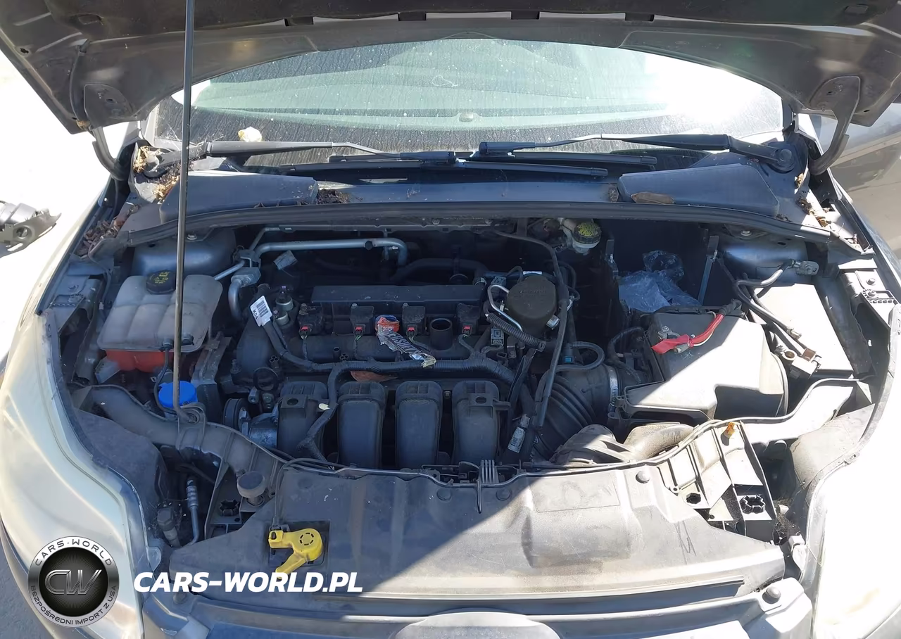 2014 Ford Focus Se VIN:1FADP3F23EL455699 - 10