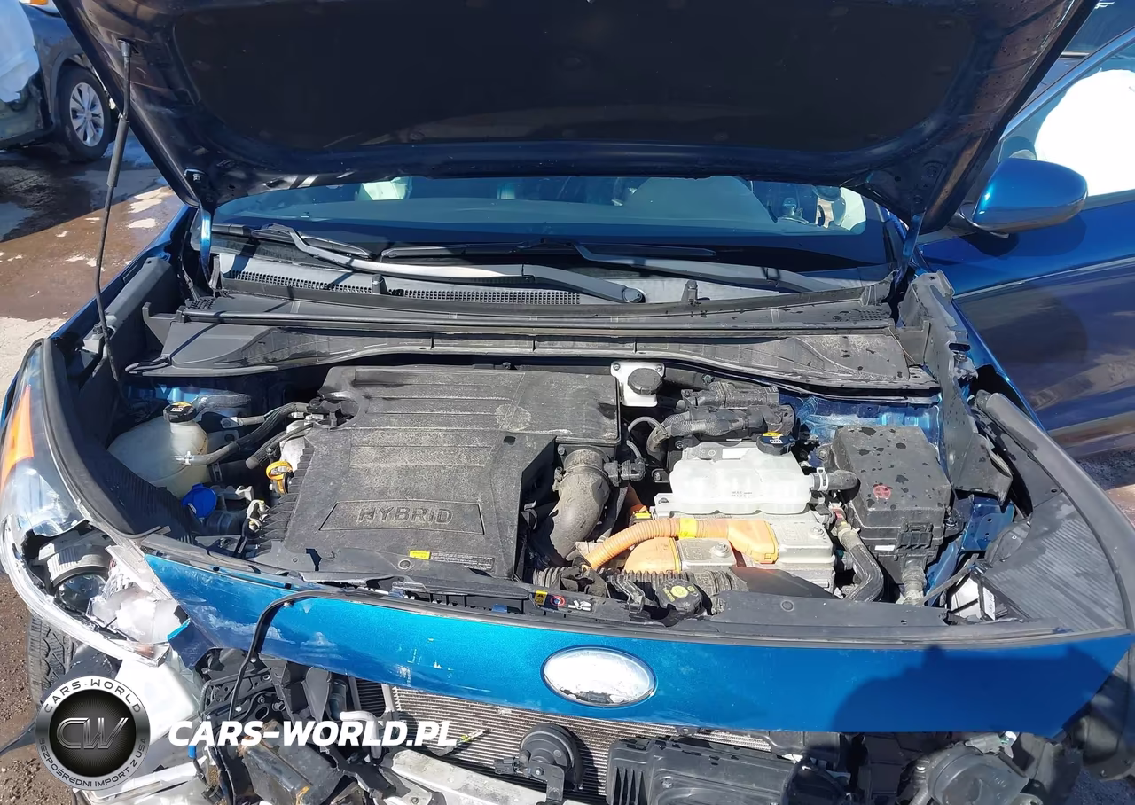 2019 Kia Niro Lx VIN:KNDCB3LC2K5262140 - 10
