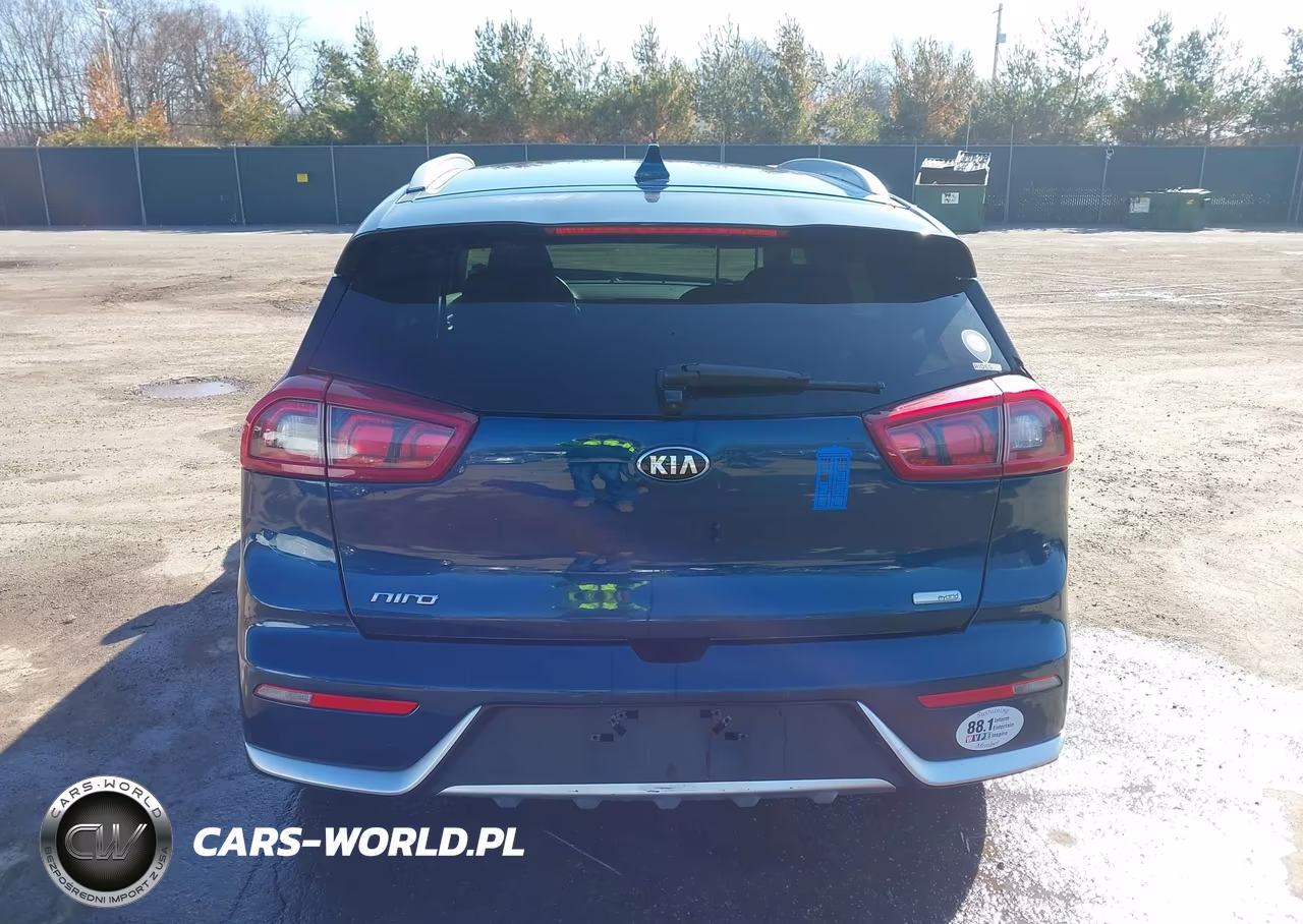 2019 Kia Niro Lx VIN:KNDCB3LC2K5262140 - 16