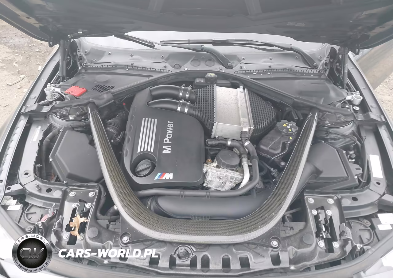 2015 BMW M4 VIN:WBS3R9C52FK331456 - 10