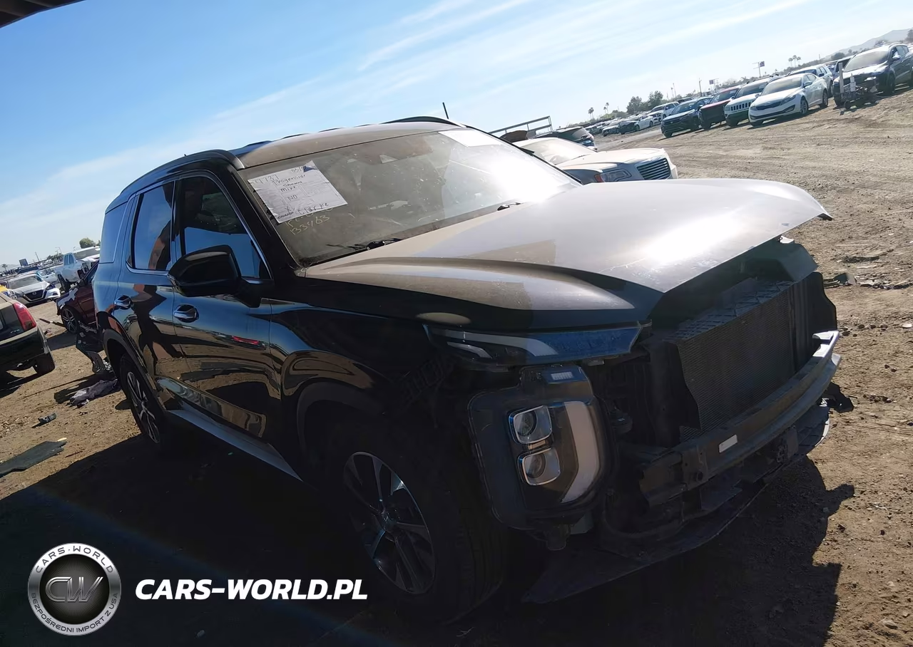 2020 Hyundai Palisade Sel VIN:KM8R24HEXLU133463 - 19